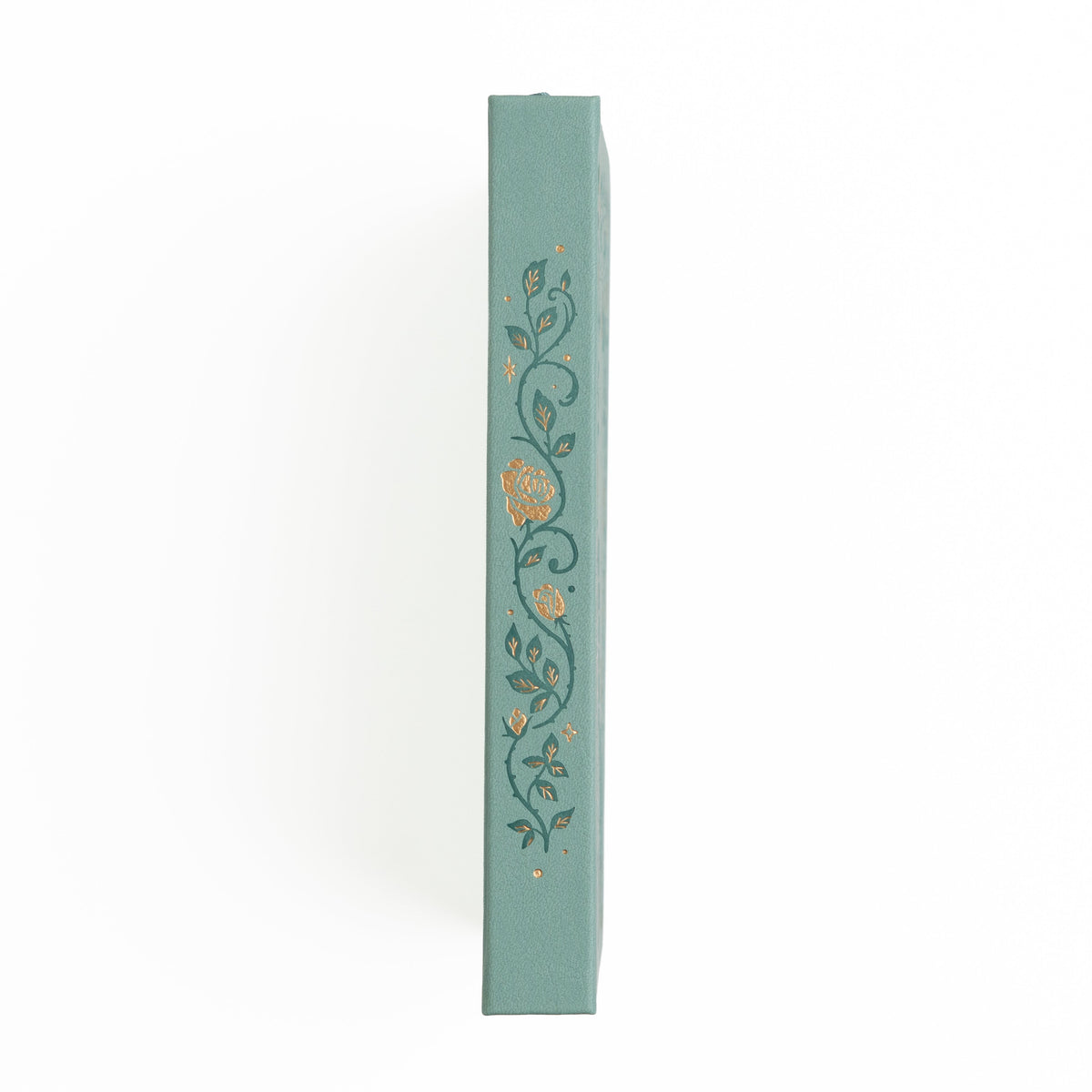 Books of Beauty Notebook