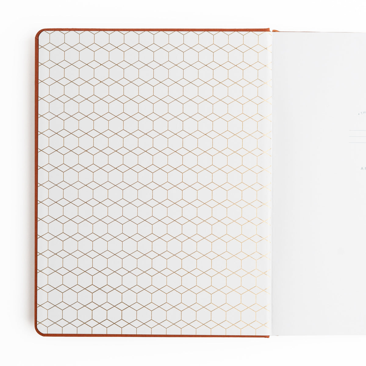 Keeper of the Bees in Rust: Notebook