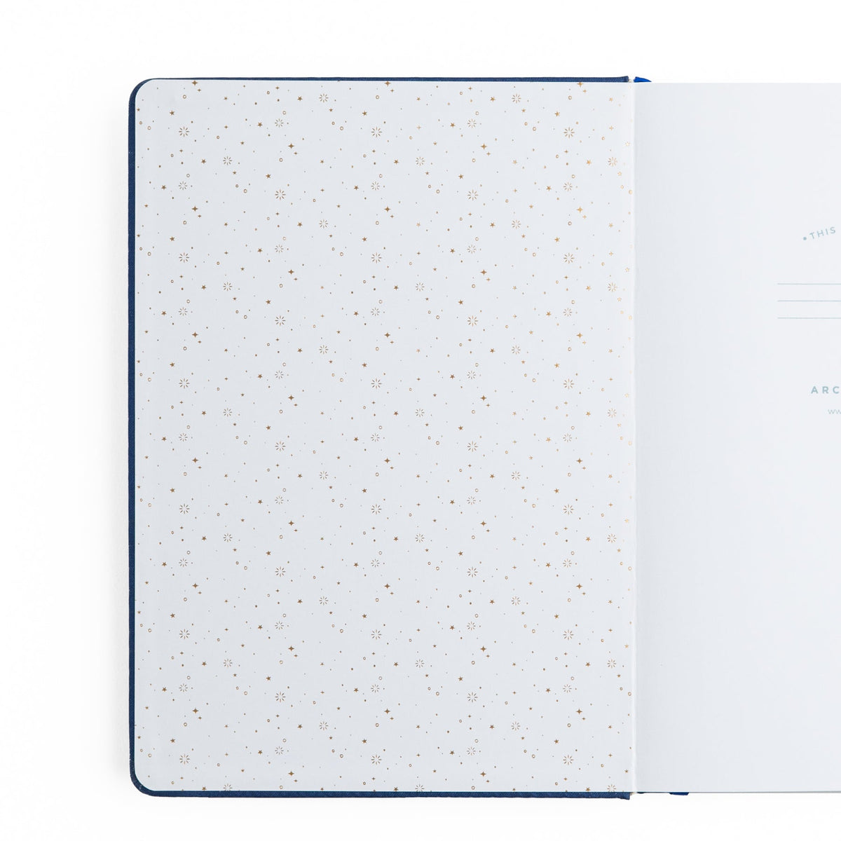 B5 Firefly Night: Dot Grid Notebook