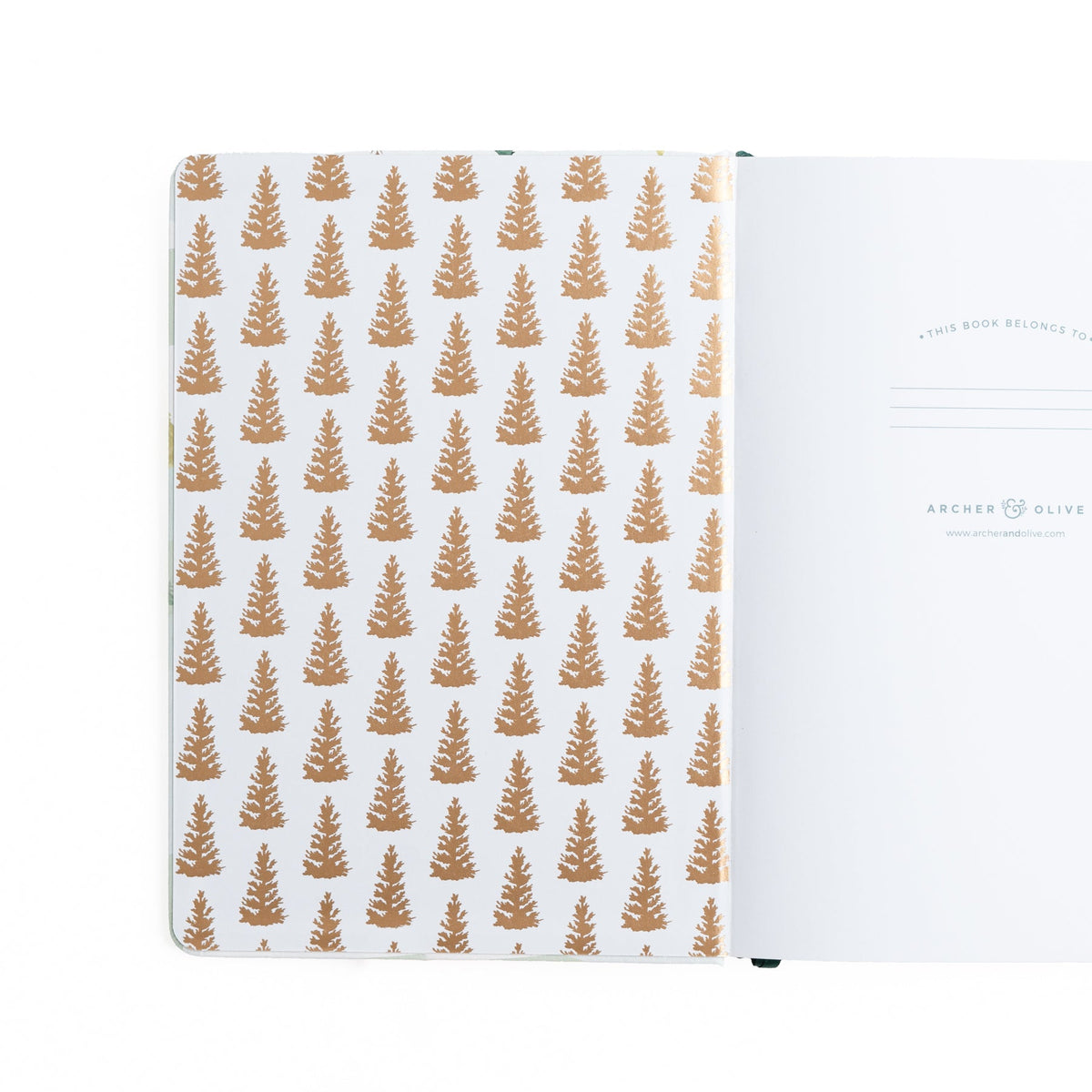B6 Fox In Winter Woods: Dot Grid Notebook
